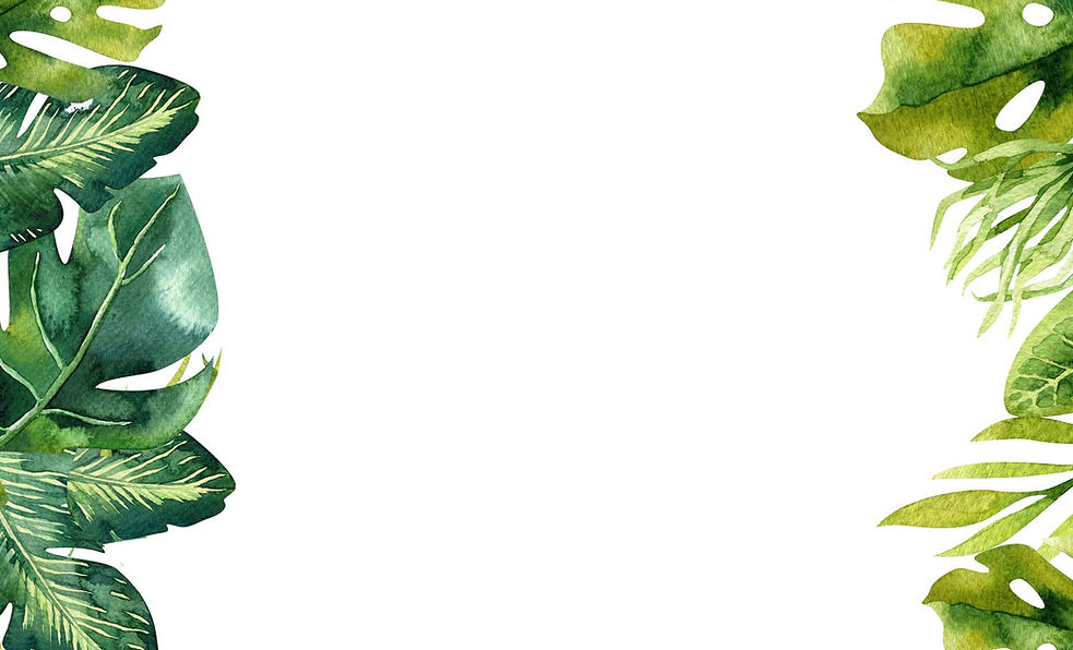 Bkgrd_Safari.jpg