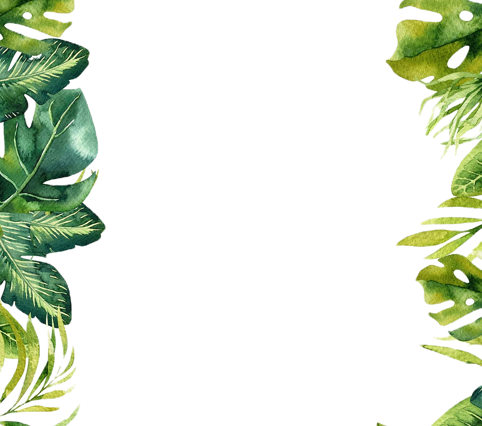 Bkgrd_Safari_edited_edited.png