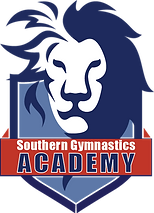 SGAcademyLogo.png