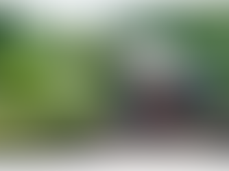 2025 PNG Port Moresby, Piksa Bilong Taim Bipo - National Museum and Art Gallery (NMAG)