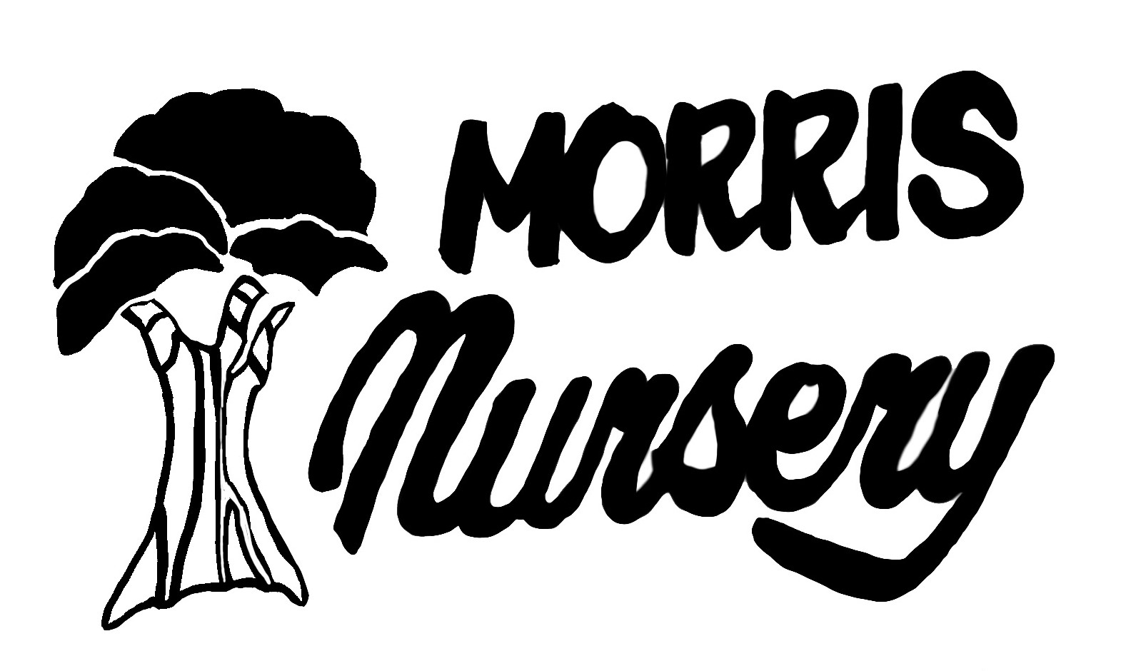 Morris Nursery logo