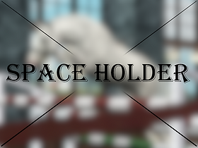 Space Holder.png