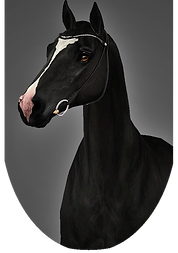 Lilac's Black Widow Head.png