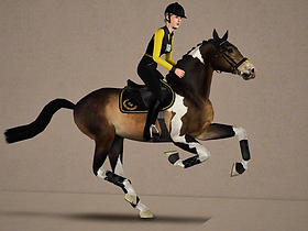 TS3W 2021-02-09 18-04-56.png