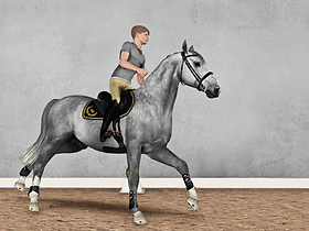 ah_as_skok23 a_as_skok23.png