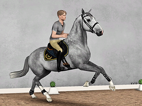 ah_as_skok31 a_as_skok31.png