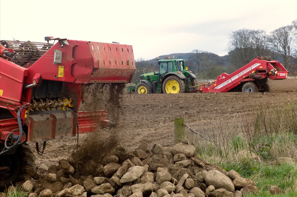 Tatties 2016