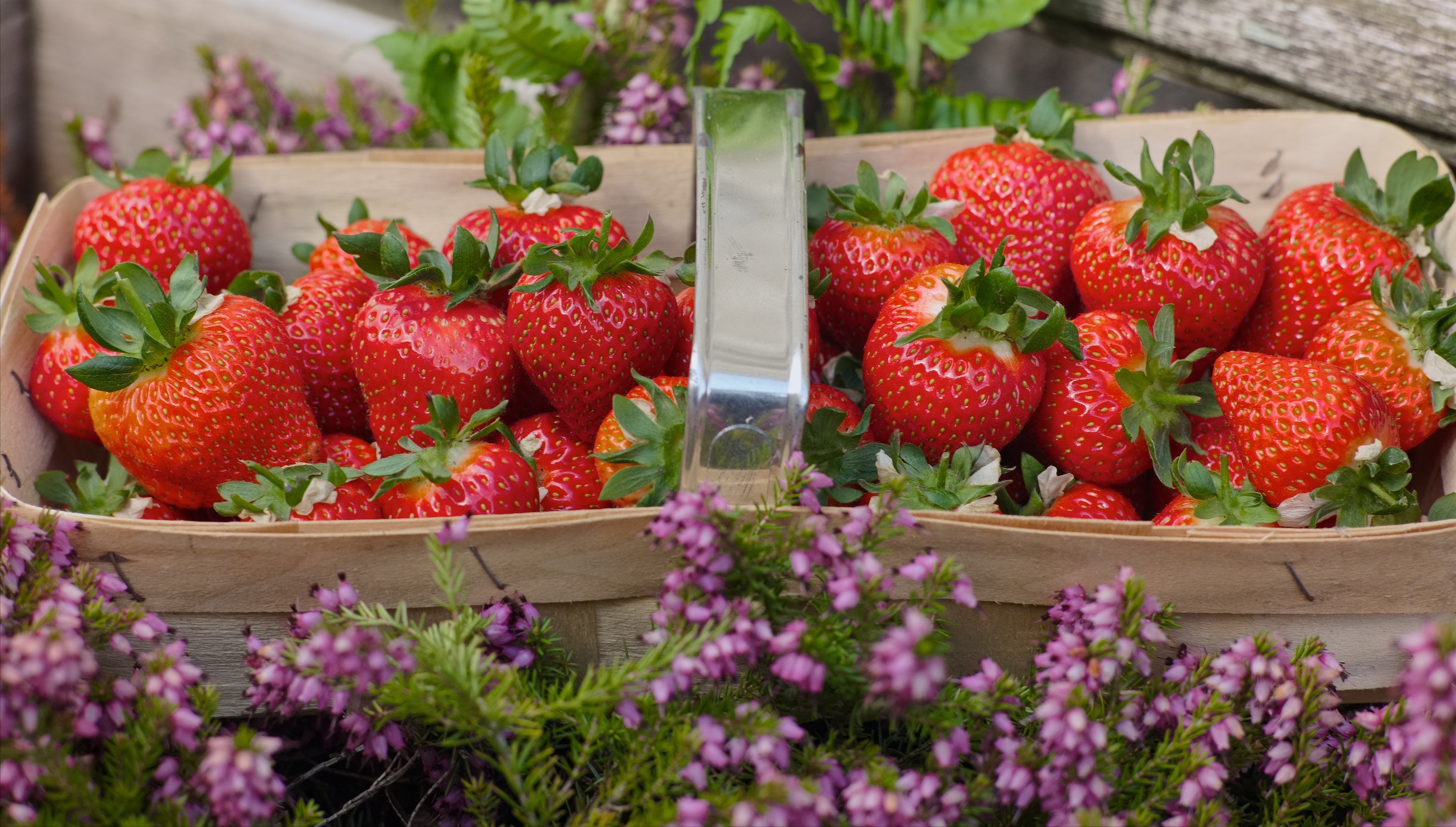 Colbeggie Strawberries
