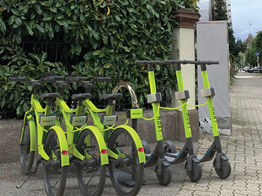 MOBY GRRENS BIKES.png