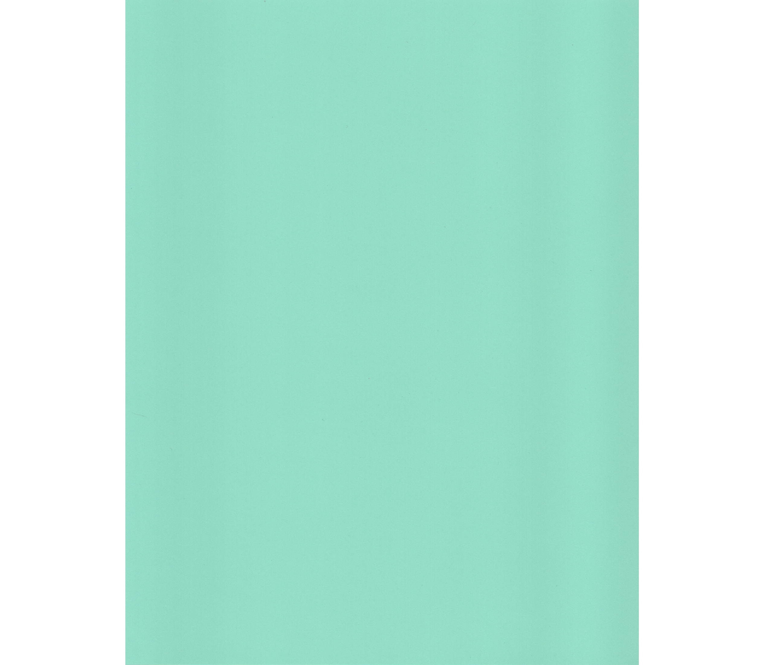 Mint Breeze Cardstock - 65 lbs. 8 1/2" X 11" - (10 Sheets) 