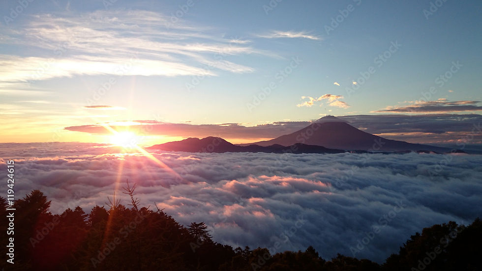 AdobeStock_119424615_Preview.jpeg