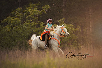 Glacier Trails Gallery