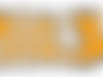 ¿Tipos de servicios proporciona una agencia especializada en Amazon?