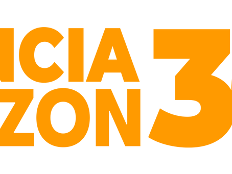 ¿Tipos de servicios proporciona una agencia especializada en Amazon?