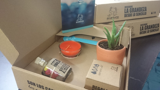 CAJA ACUEDUCTO.JPG
