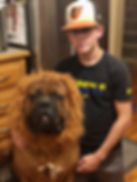 image0-1.jpeg