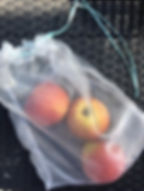 20_gemuese-obst-beutel.jpeg