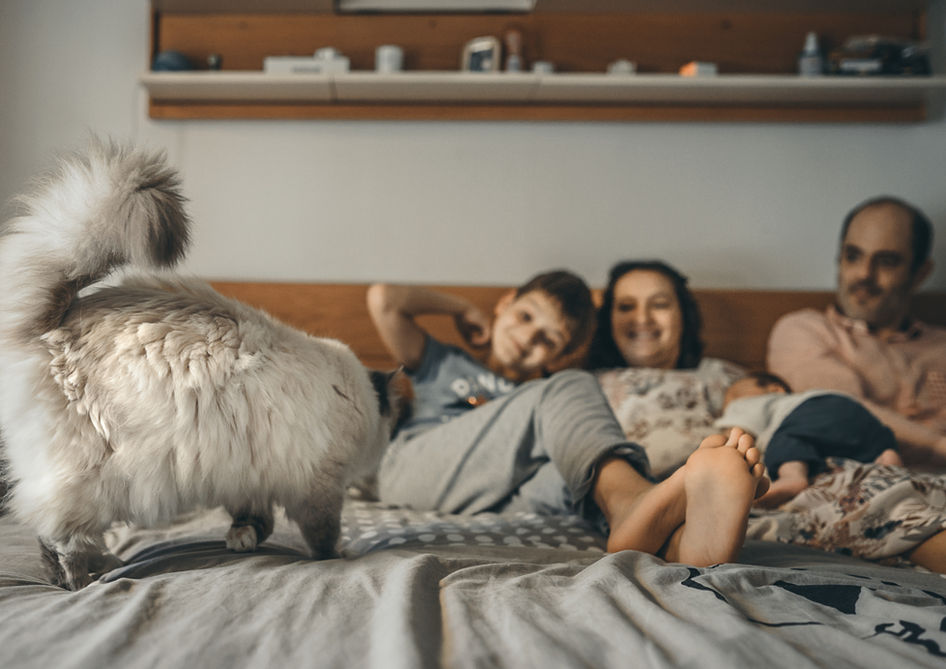 Lorenzo _Niedrigauflösend-14.jpg