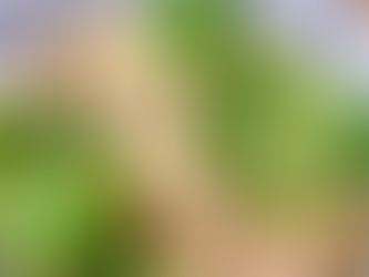 ⭐️スタッフ紹介飯⭐️