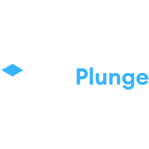 BoxPlunge logo