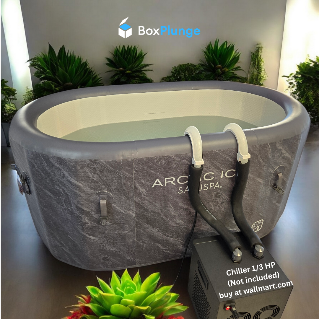 Saluspa iceboat to cold plunge