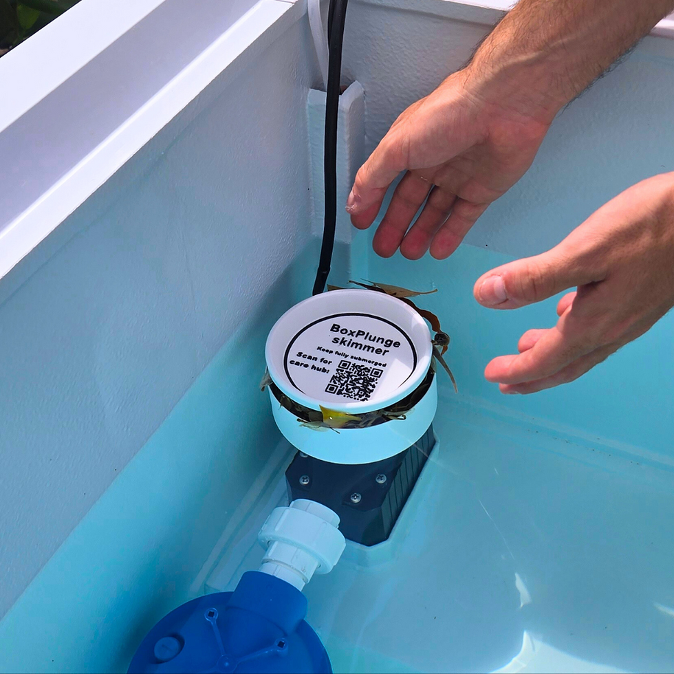 Thumbnail: cold plunge skimer with hands