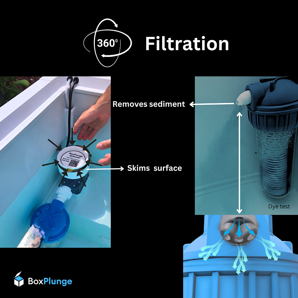 Thumbnail: cold plunge skimmer and filter