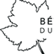 betrisey-vins-logo_edited.png