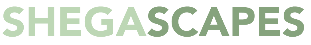 web-logo.png