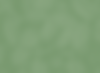 leaf bkd.png