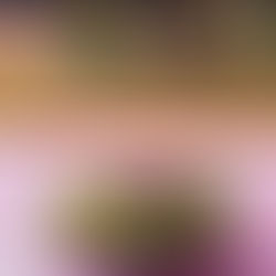 Aguacates rellenos de remolacha con Vinagre al PX