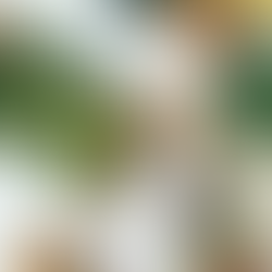 Diciembre Naranja: Ensalada de frutas con Aceite de Naranja