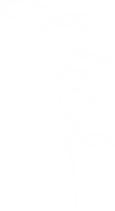 Jill Cole Digital Signature copy.png