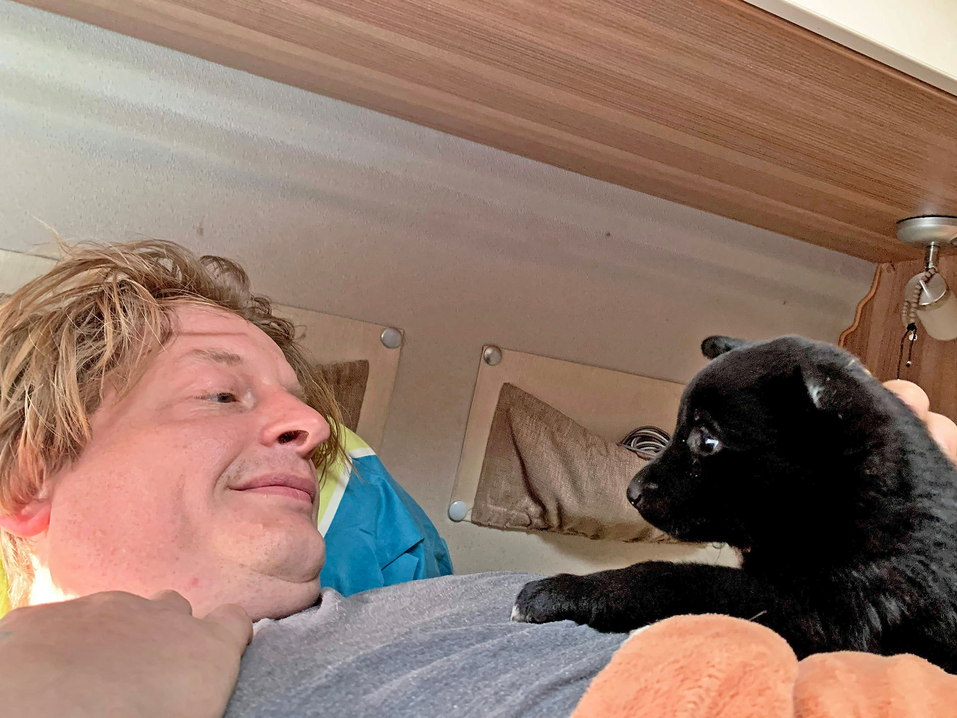Welpe zu Besuch im Van