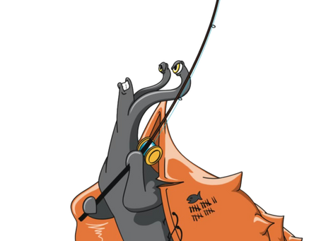 Kayak Safety Tips before you take your adventure in Port St. Joe or surrounding areas.