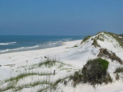Tidbit about Port St. Joe, FL
