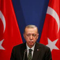 Erdogan 2.jpeg