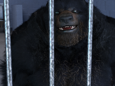 The New Jail Bear
