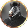 Alphalogo0.gif