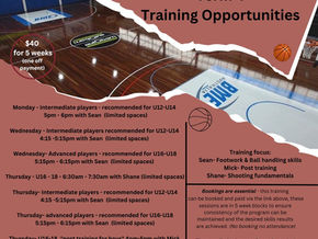 Term 4 Jnr Training