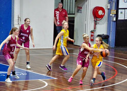 Bears Action 0.05.2019 03