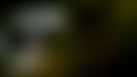 Romain Grosjean: "Necesitamos analizar todo y obtener una mejor comprensión"