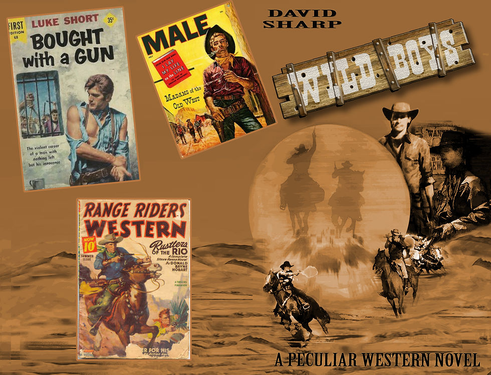 Wild Boys pulp western influences!