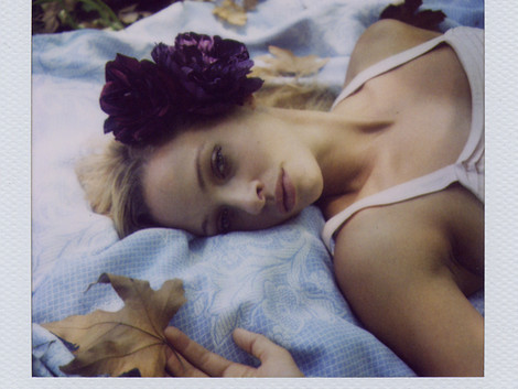 Polaroid