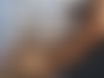 ¿POR QUÉ DEBERÍAS IR A COLONIA EL 11/11?