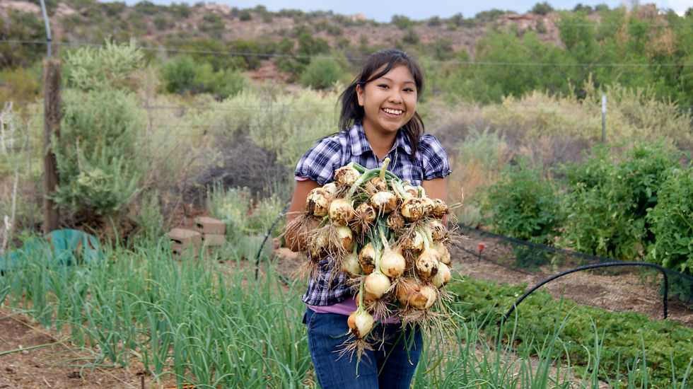 Local Food Production