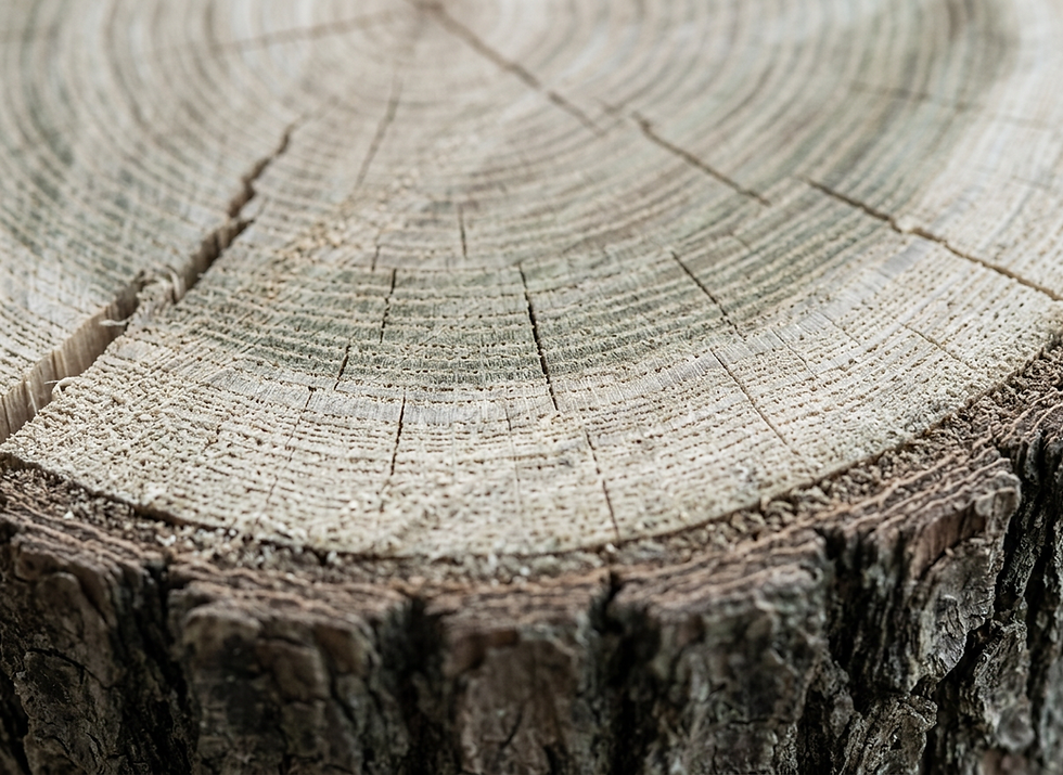 AI for Log Triage: Parsing macOS Unified Logs Without Losing Your Mind