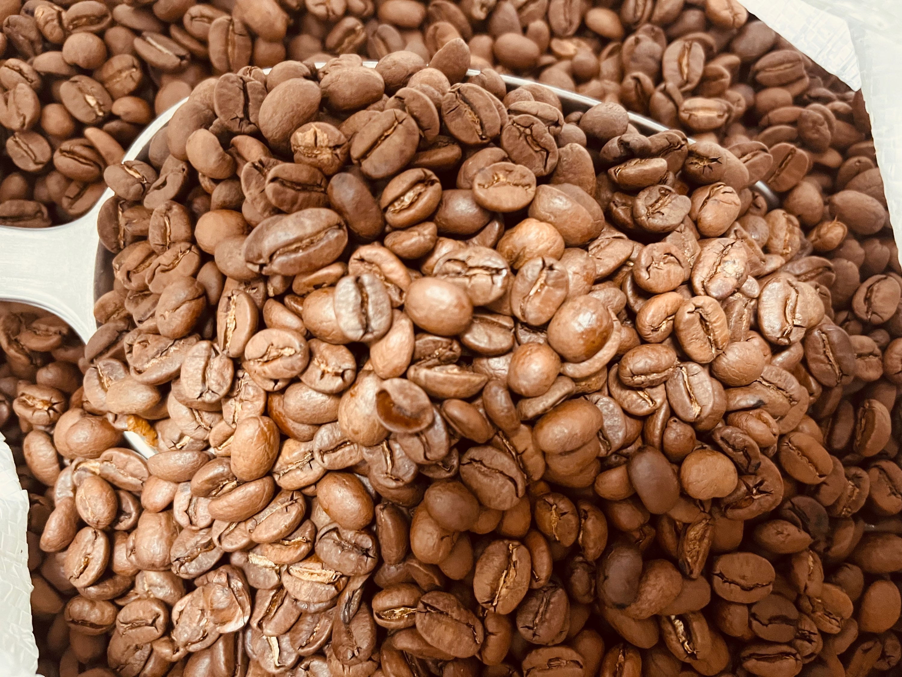 Café Mexique Altura - 250G