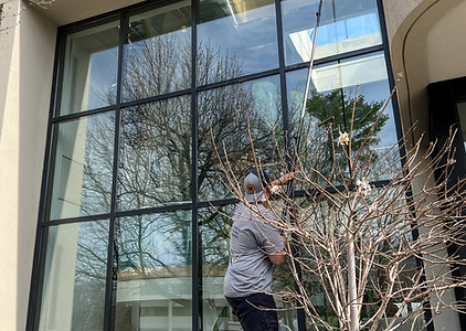 Professional window cleaning service in Stoneham, MA