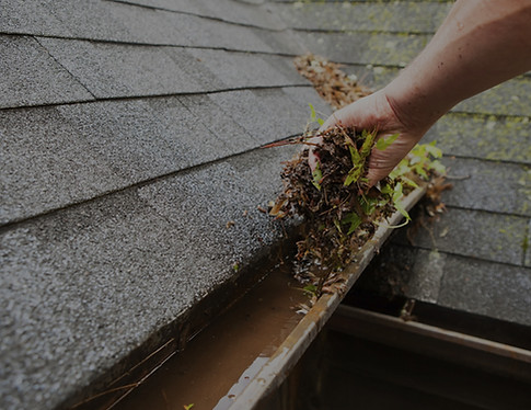 Gutter cleaning and debris removal in Stoneham, MA